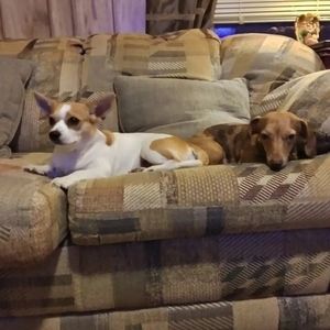 Meet your Posher, Joliesa